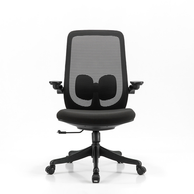 Sliding Seat Ergonomic Task Chair Adjustable Lumbar Support High Back Mesh Desk Chair