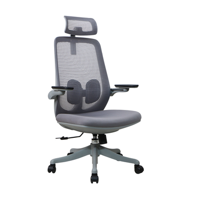 Sliding Seat Ergonomic Task Chair Adjustable Lumbar Support High Back Mesh Desk Chair